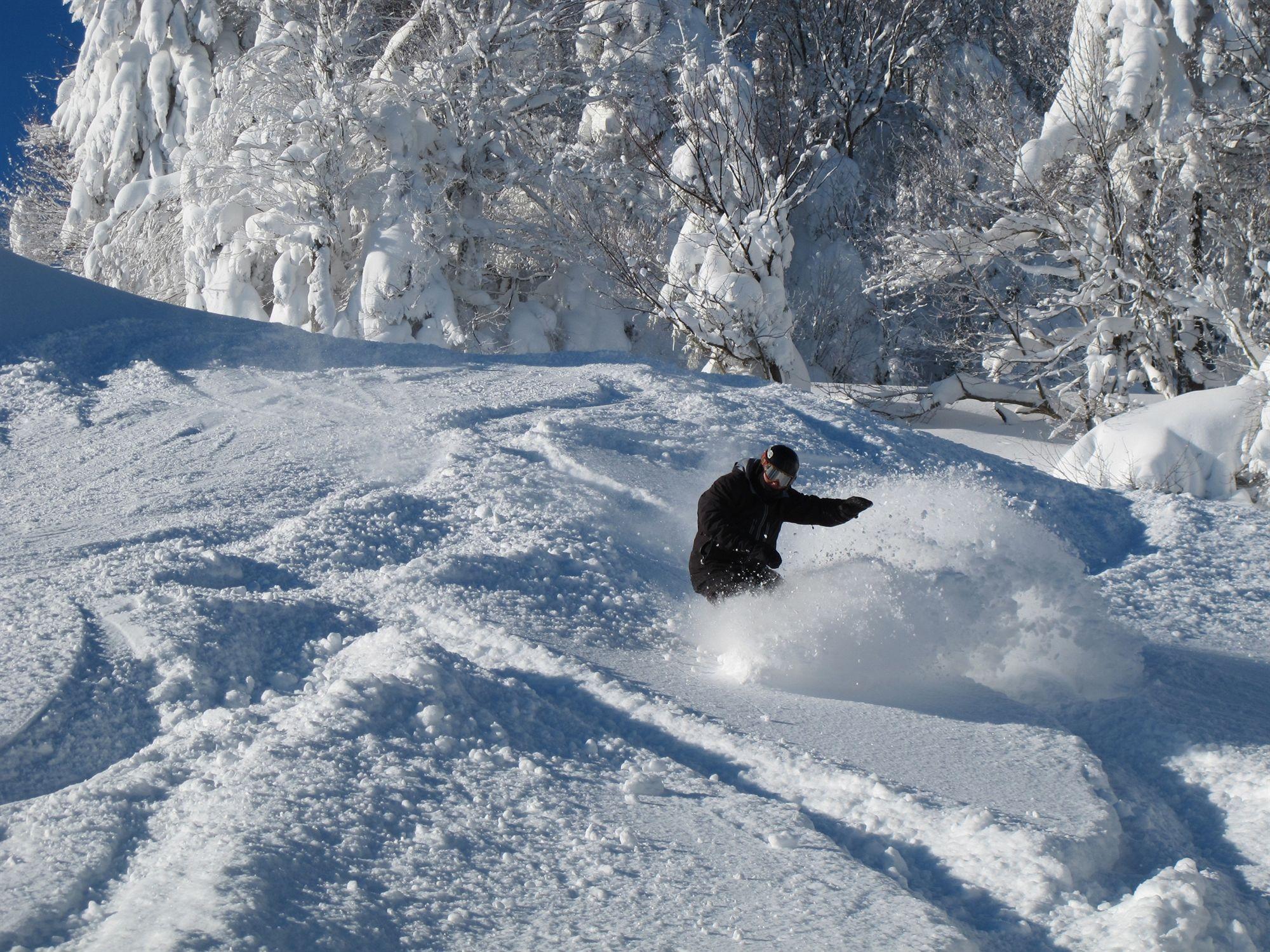 Отель Snowcrest Сноушу Экстерьер фото